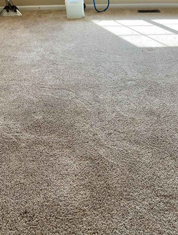 Before Carpet Cleaning