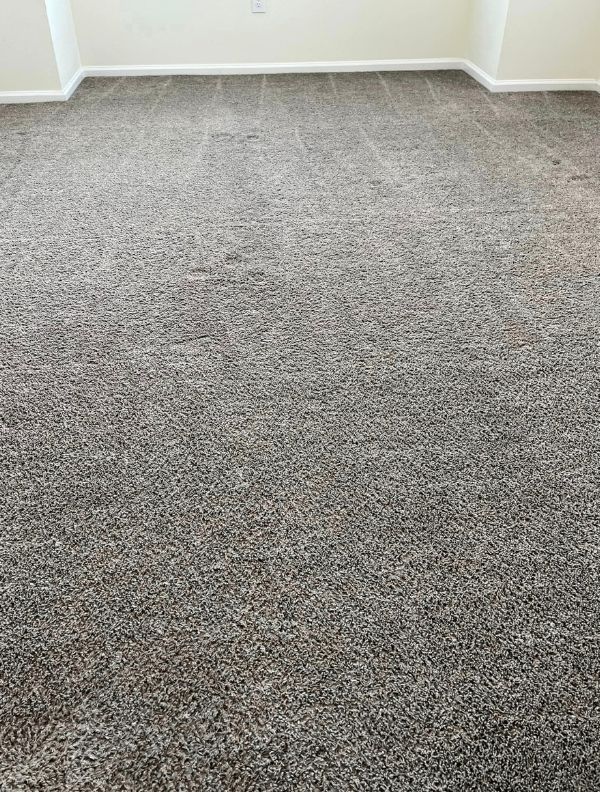 Commercial Carpet Cleaning in Fort Collins