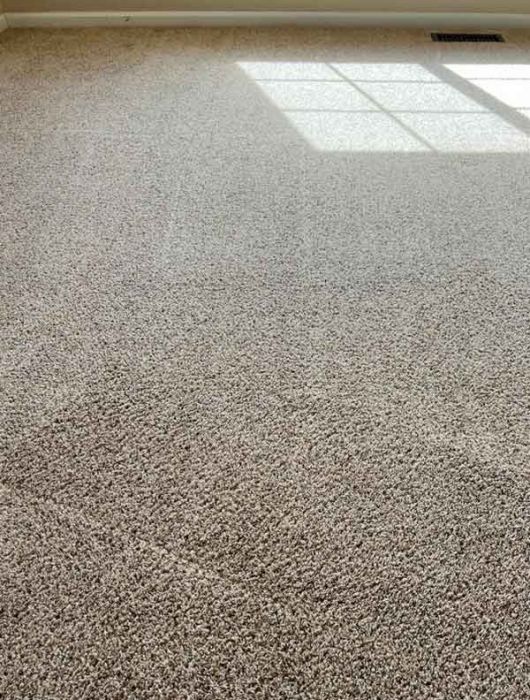 After Carpet Cleaning in Fort Collins