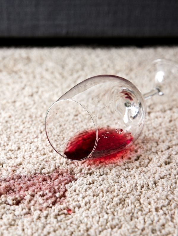 Pet Odor Stain Removal Cleaning in Fort Collins