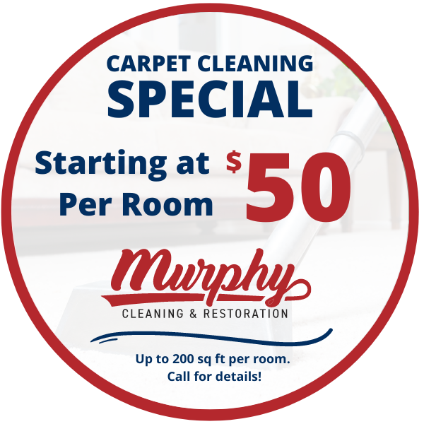The 1 Carpet Cleaning Company in Fort Collins, CO with a 5Star Rating